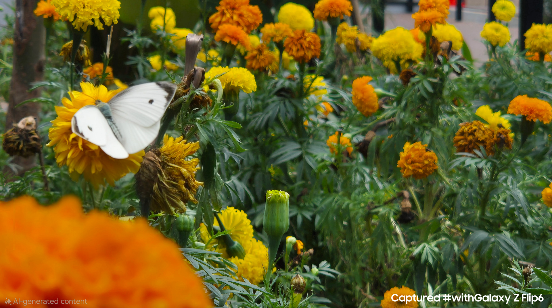 Tempatkan objek utama di salah satu bagian yang dominan untuk menghasilkan foto yang lebih bercerita dengan Galaxy Z Flip6